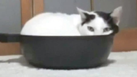 '�� ���� ���� ��Ų��'������ �� ������