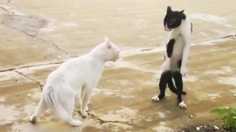 �̼ҷ浵 ��� �� ������ �ǹ�