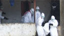 나이지리아 에볼라 환자 1명 추가 확인