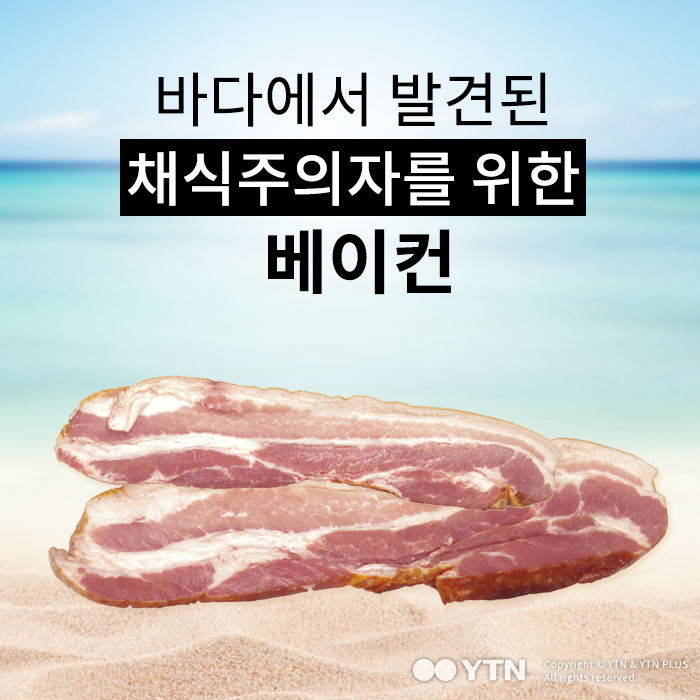 [한컷뉴스] 바다에서 찾아낸 채식주의자를 위한 베이컨