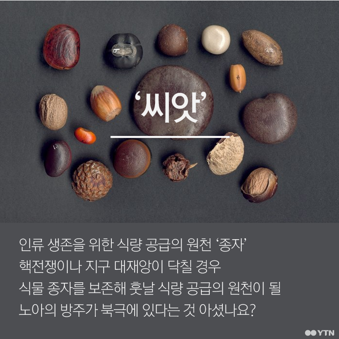 [한컷뉴스] 핵전쟁을 대비한 '운명의 날 저장고'를 아시나요?