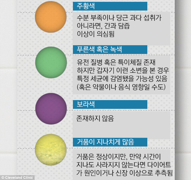 11가지 소변 색으로 알아보는 당신의 건강 상태 