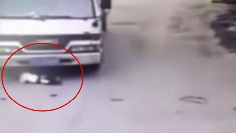 '아이 위를 그대로'...끔찍한 트럭 사고의 반전