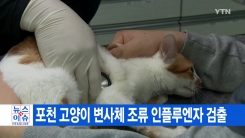 [YTN �ǽð�����] ��õ ������ ����ü ���� ���÷翣�� ����