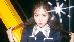 '에이핑크' 나은, 싸이 '뉴페이스' 뮤비 출연 소감 '에이핑크' 나은, 싸이 '뉴페이스' 뮤비 출연 소감