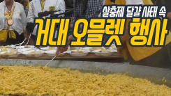 살충제 달걀 사태에도 진행된 벨기에의 '거대 오믈렛' 행사
