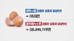 살충제 달걀, 새로 드러난 팩트!