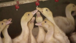 ���� ��â ���� �� 'AI ��������' Ȯ��