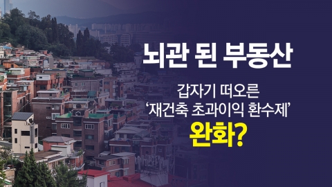 급한 불 끄려고? 재건축초과이익환수제 꺼낸 여당 [앵커리포트]