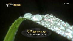 '한로'에 기러기를 기다린 이유