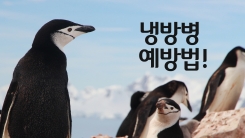 여름철 만성 두통, '냉방병'입니다