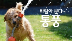 치맥으로 알아보는 통풍 예방법