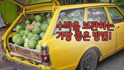 수박, 절대 랩에 싸서 보관하지 말아라?