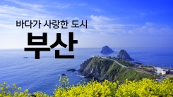 홍콩보다 멋진 부산의 야경!