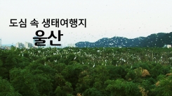 도심 속 생태여행지 '울산'
