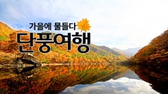 가을에 물들다 '단풍여행'