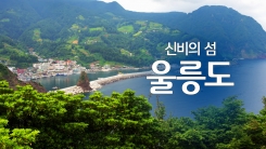 신비의 섬 '울릉도'