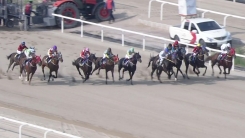 제17회 YTN배 경마대회 (2,000m)