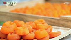 산청 곶감