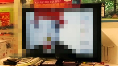 노무현 전 대통령 희화사진 유포 20대 검거