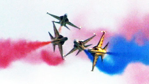 화려한 공중곡예...싱가포르 하늘을 수놓다!