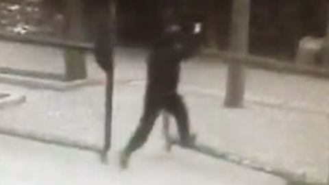 '재미삼아 올라탔는데…' 동심 즐기다 굴욕