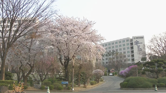 오늘도 맑고 고온...큰 일교차