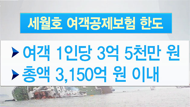 "여객보험 지급 안 될 듯...결국 세금으로 충당"