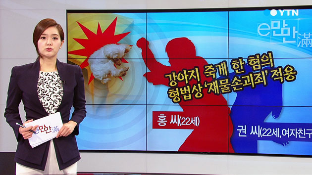 [e-만만] 홧김에 여자친구 강아지 죽인 남자 '징역 2년'