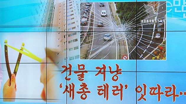 [e-만만] '쇠구슬 새총 테러'에 주민 공포