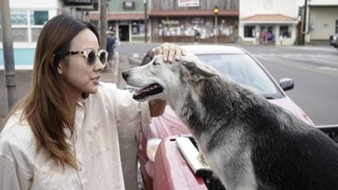 이효리 "블로그 하다 보니 가식만 늘어"