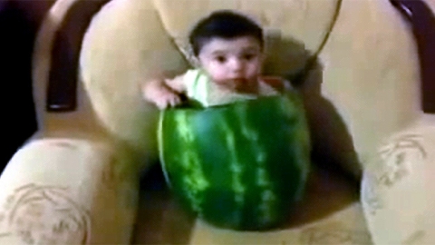 똑똑한 아기의 여름나기…수박과 '혼연일체'