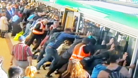 '구조본능'...승객 살리고, 까마귀 살리고...