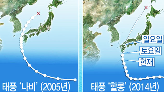 할롱과 닮은꼴 태풍 '나비'...동해안 폭우