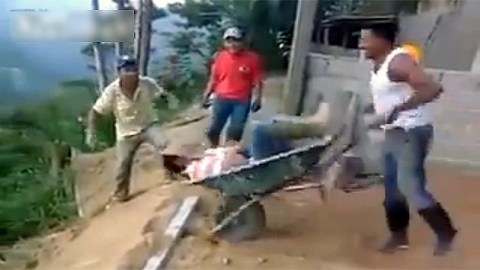 '감히 혼자 낮잠을?'…짓궂은 친구들의 응징