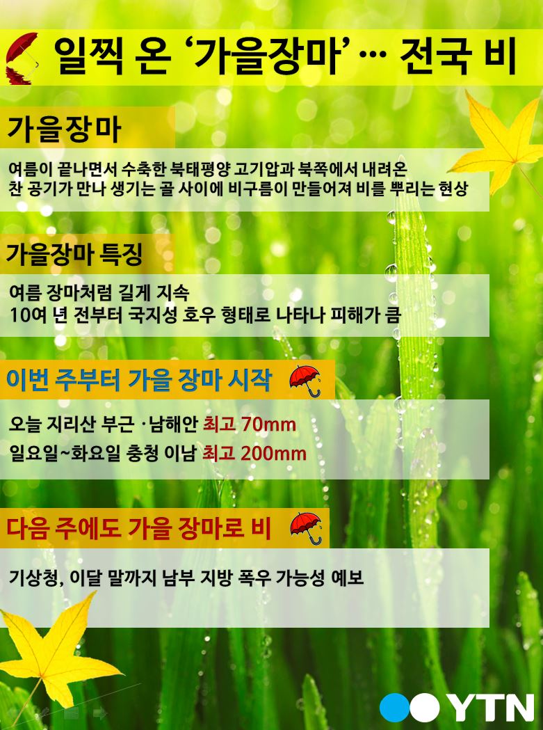 [한컷뉴스] 일찍 온 '가을장마'…전국 비
