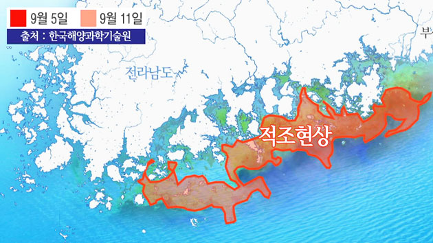 남해안 적조, 가을장마·늦더위가 원인