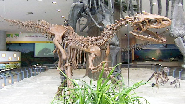 계룡산 자연사박물관 존폐 위기