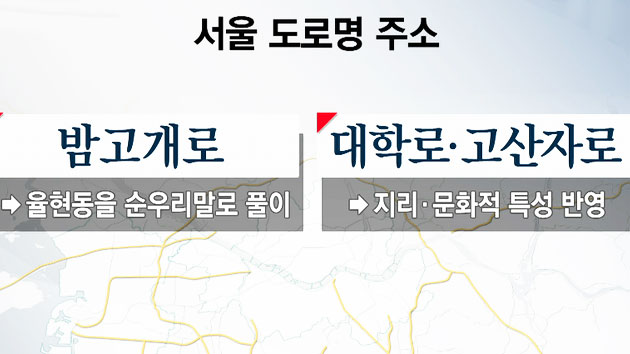 디지털·크리스탈...외래어 '논란' 도로명 주소