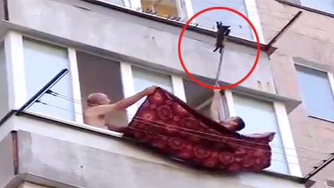 빨랫줄에서 추락 직전…고양이 "십년감수 했네"