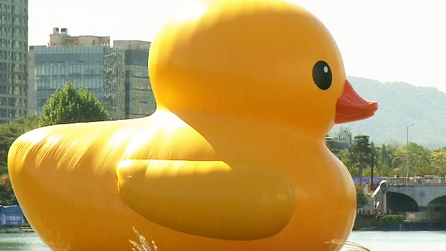 화창한 가을날 '러버덕'이 떴다