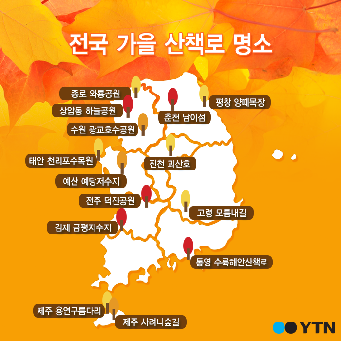 [한컷뉴스] 전국 가을 산책로 명소 
