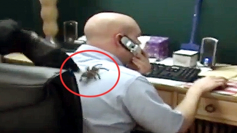 동료 어깨에 독거미를…'장난이 심하잖아!'