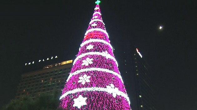 서울광장 '초대형 성탄 트리'..."사랑을 전해요"
