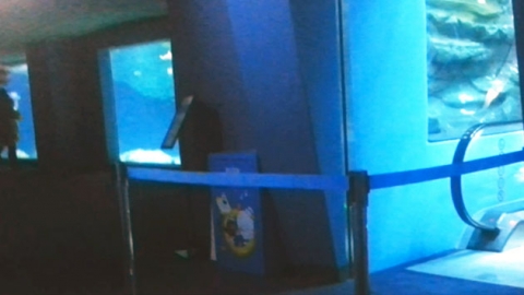 "제2롯데월드 아쿠아리움 균열·누수"...긴급 보수 중