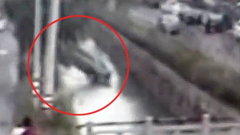 강으로 뛰어든 승용차 '수륙양용은 아니지?'