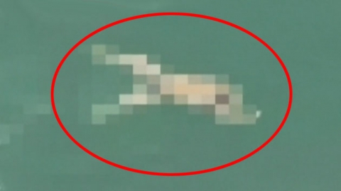 "실종 지점 인근에서 시신 40여 구 발견"