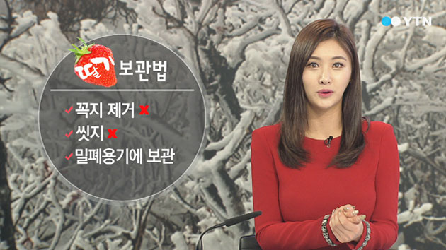 겨울 과일 싱싱한 보관법은?