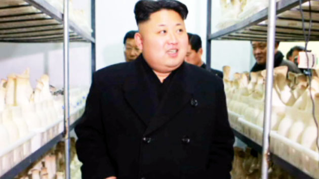 "김정은, 신축 평양시 버섯공장 시찰"...김여정 동행