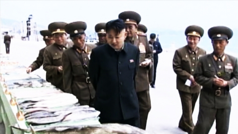 "김정은 잠행 이후 빨치산 2세대 수행 급증"